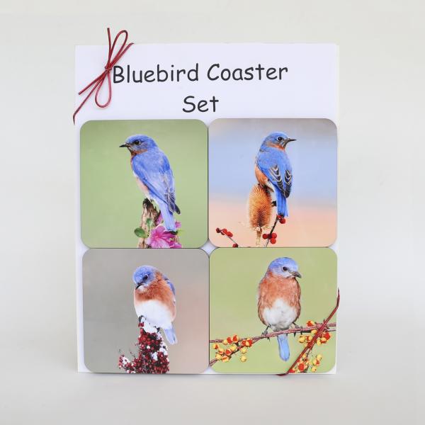 Bluebird coaster set