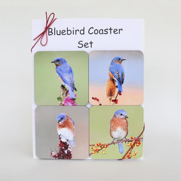 Bluebird coaster set picture