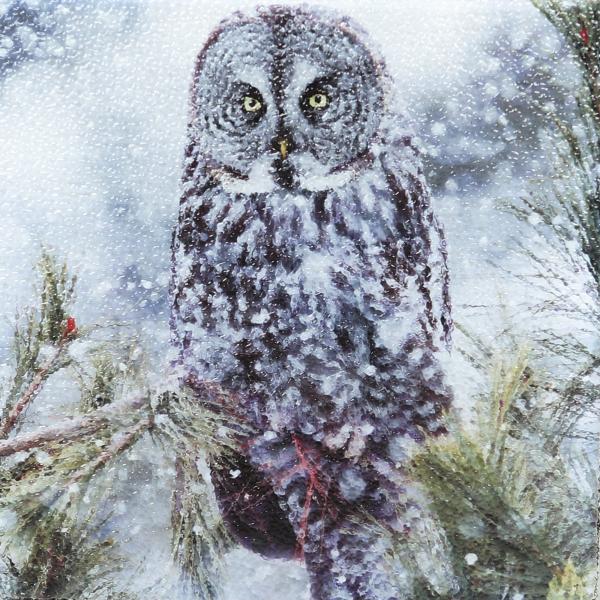 Great gray owl trivet picture