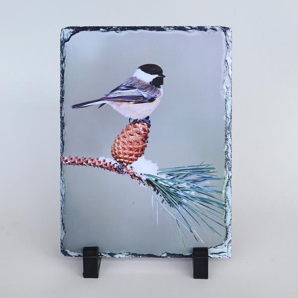 Chickadee printed on slate picture