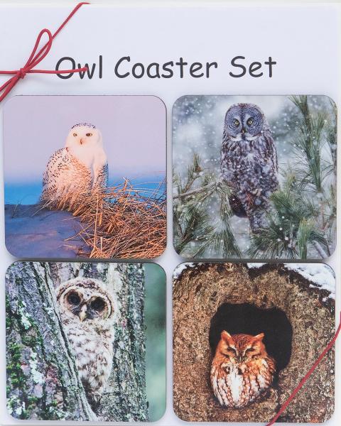Owl coaster set picture