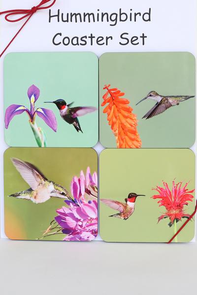 Hummingbird coaster set