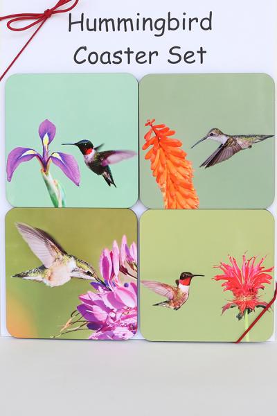 Hummingbird coaster set picture