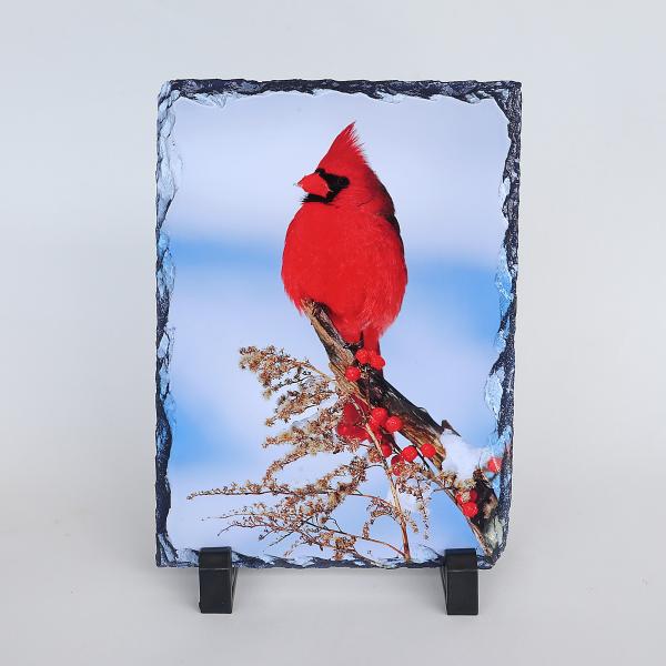 Northern cardinal printed on slate