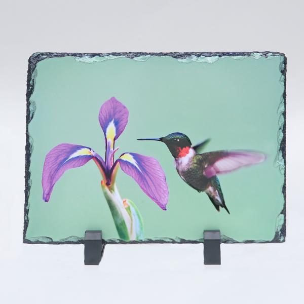 Hummingbird printed on slate