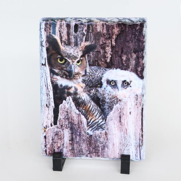 Great horned owl with young printed on slate