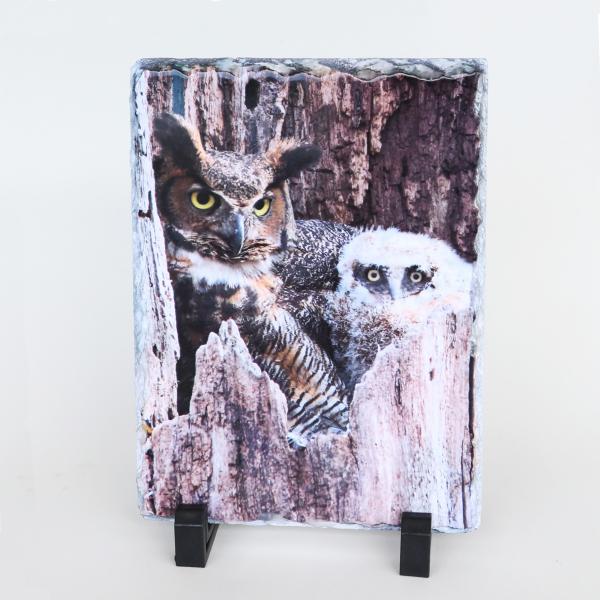 Great horned owl with young printed on slate picture