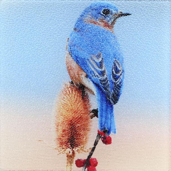 Eastern bluebird printed on trivet picture