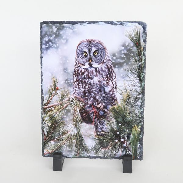 Great gray owl printed on slate