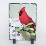 Northern cardinal on blossoms printed on slate
