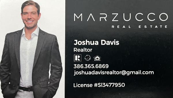 Joshua Davis, Realtor