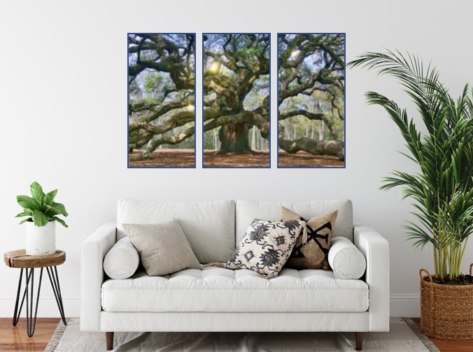 30" x 45 Triptych Angel Oak Canvas Gallery Wrap