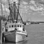 14" x 14" Along the Dock Matted Print