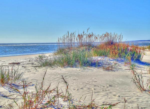 32" x 48" Footprints of Sapelo Island Canvas Gallery Wrap picture