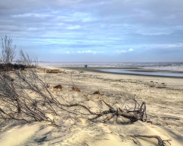 11" x 14" Walk on the Beach Matted Print picture