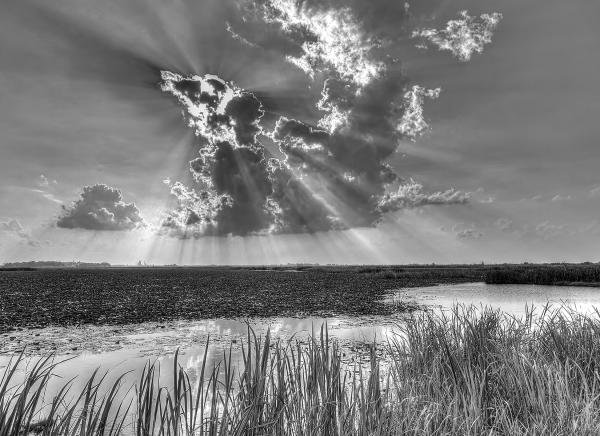 11" x 14" Evenings' Rays Over the Marsh Matted Print picture