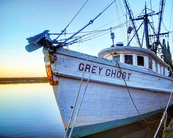 11" x 14" Grey Ghost Matted Print picture