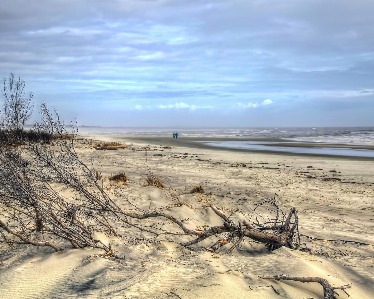 32" x 48" Walk on the Beach Canvas Gallary Wrap picture
