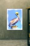 30" x 40" Pelican Watch Canvas Gallery Wrap