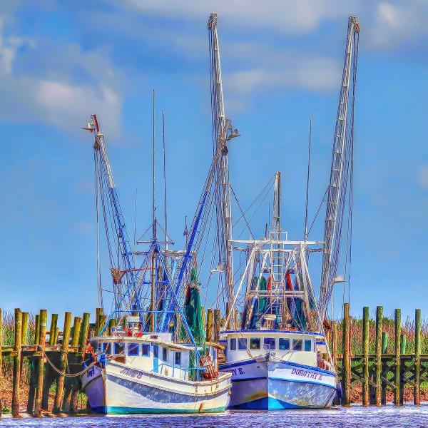 14" x 14" Ladies of the Coast Matted Print