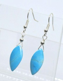 Turquoise Earrings picture