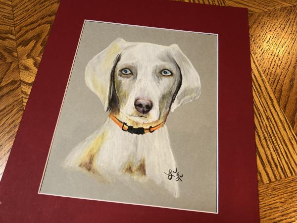 Custom Pastel Pet Portraits of your Pet picture