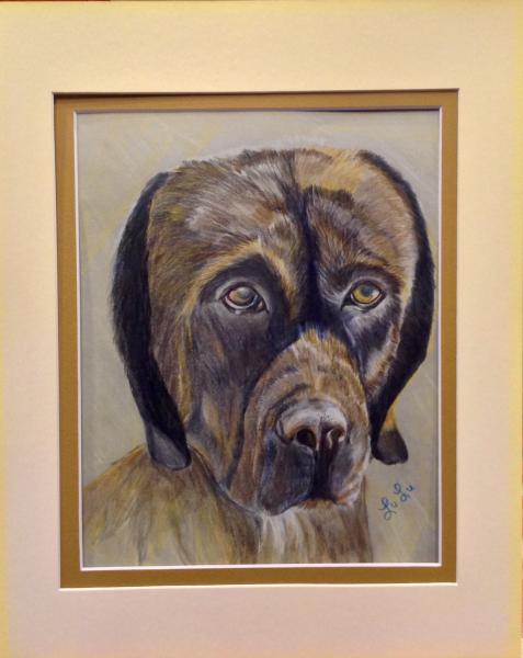 Custom Pastel Pet Portraits of your Pet picture