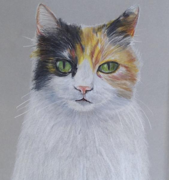 Custom Pastel Pet Portraits of your Pet picture