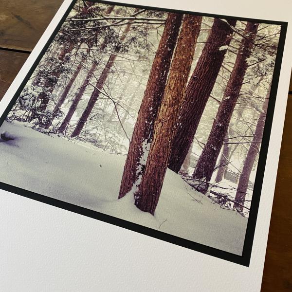 Snowy Pines, Athol, MA picture