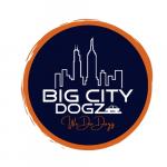 Big City Dogz