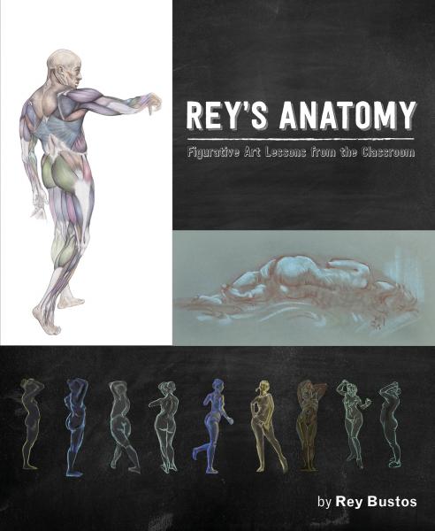 Rey's Anatomy picture