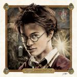 Harry Potter Limited Edition Print Art 6" x 6" Mini Hand Drawn Wizarding World Fan Art • Limited Giclée Print