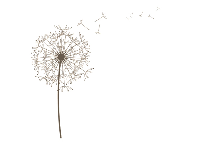 Boxed Note Cards picture