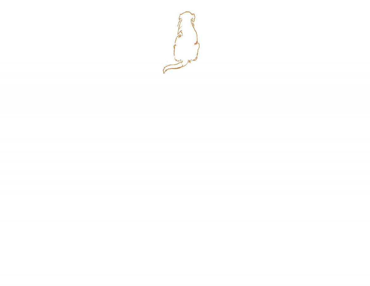 Boxed Correspondence Cards picture