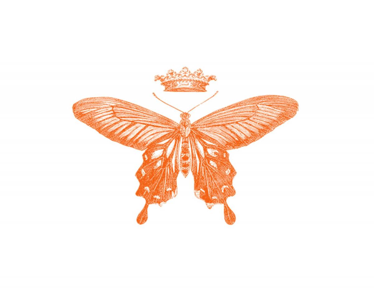 Boxed Note Cards picture