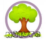 Nature Acupuncture & Herbal Clinic