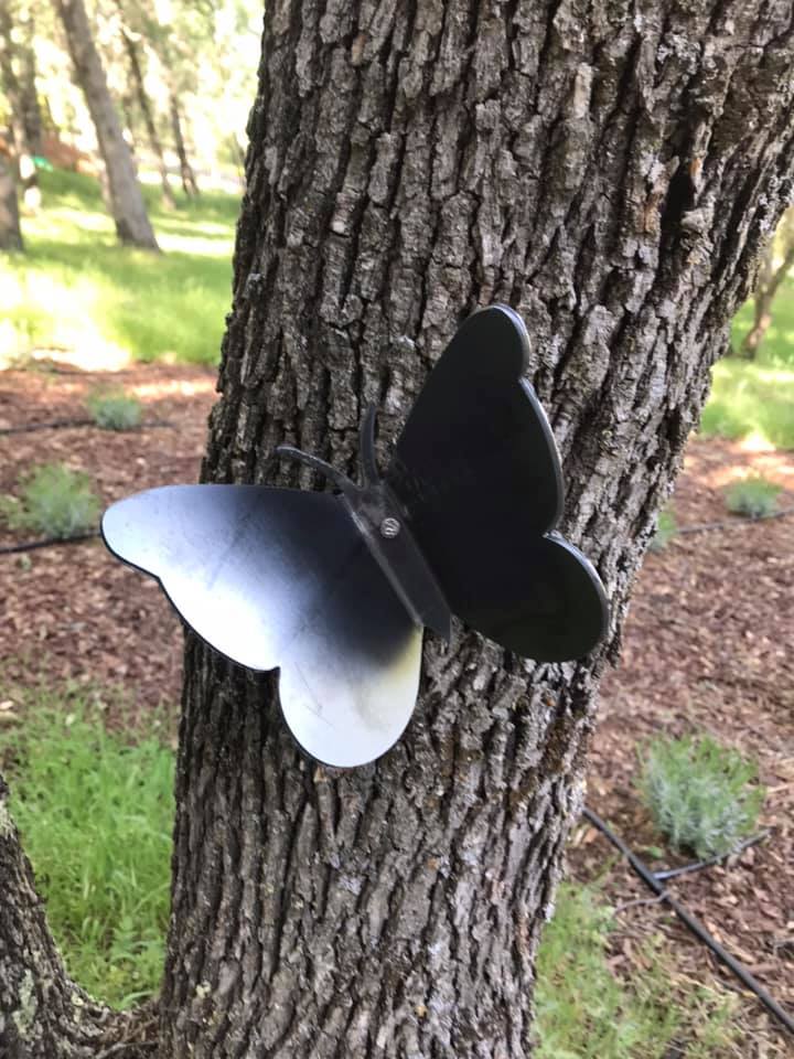 Butterfly Decoration picture