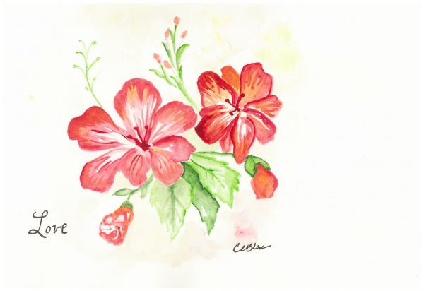 Hibiscus Love picture