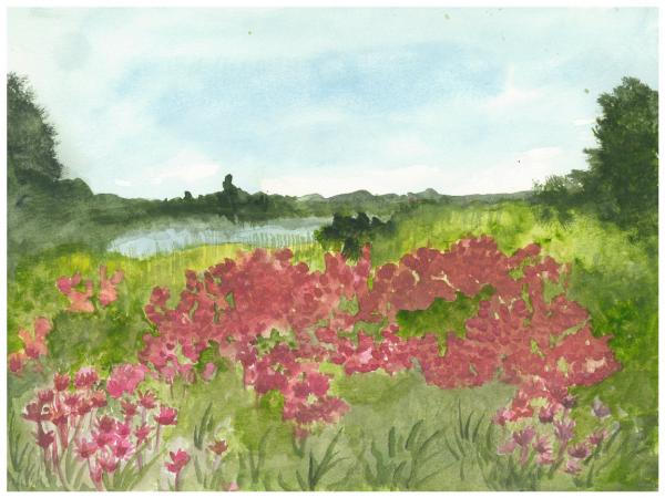 Field of Flowers Print