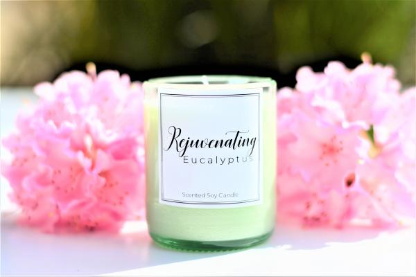 Rejuvenating Eucalyptus Soy Candle picture