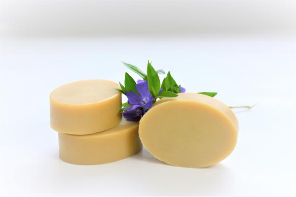 Morning Mint Soap and Shampoo Bar - Made with Hemp picture