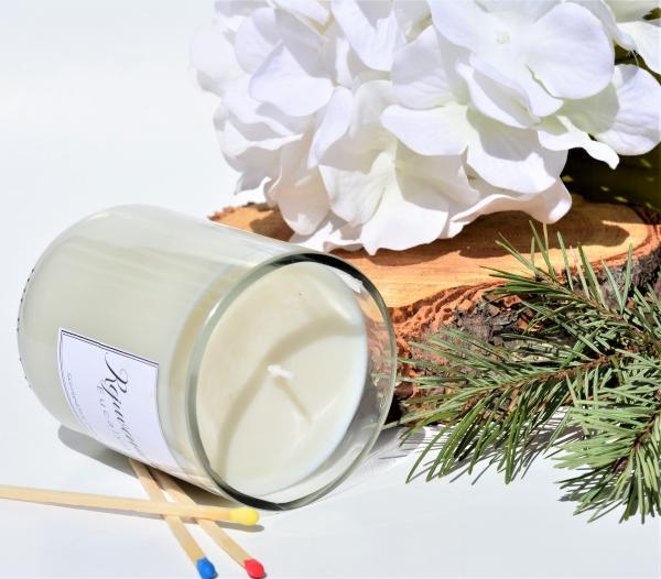 Rejuvenating Eucalyptus Soy Candle - Wine Bottle picture