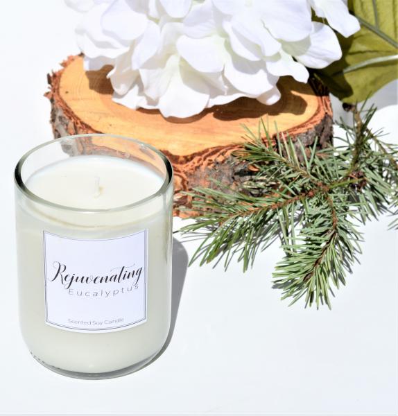 Rejuvenating Eucalyptus Soy Candle - Wine Bottle picture