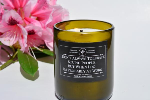 "I don't always tolerate stupid people" Funny Wine Bottle Candle picture