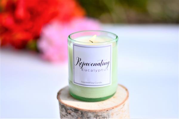 Rejuvenating Eucalyptus Soy Candle picture