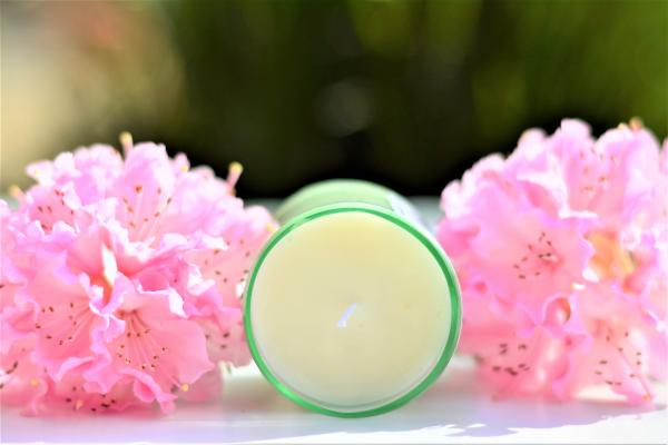 Rejuvenating Eucalyptus Soy Candle picture