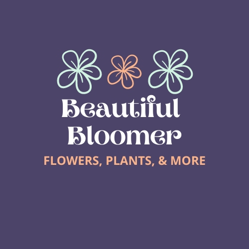 Beautiful Bloomer