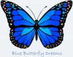 Blue Butterfly Dreams LLC