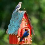 Fly Home Birdhouses