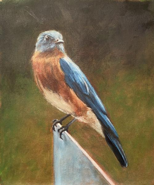 Amy Beth Cruz Art